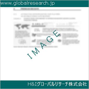 グローバルリサーチ調査資料のイメージ